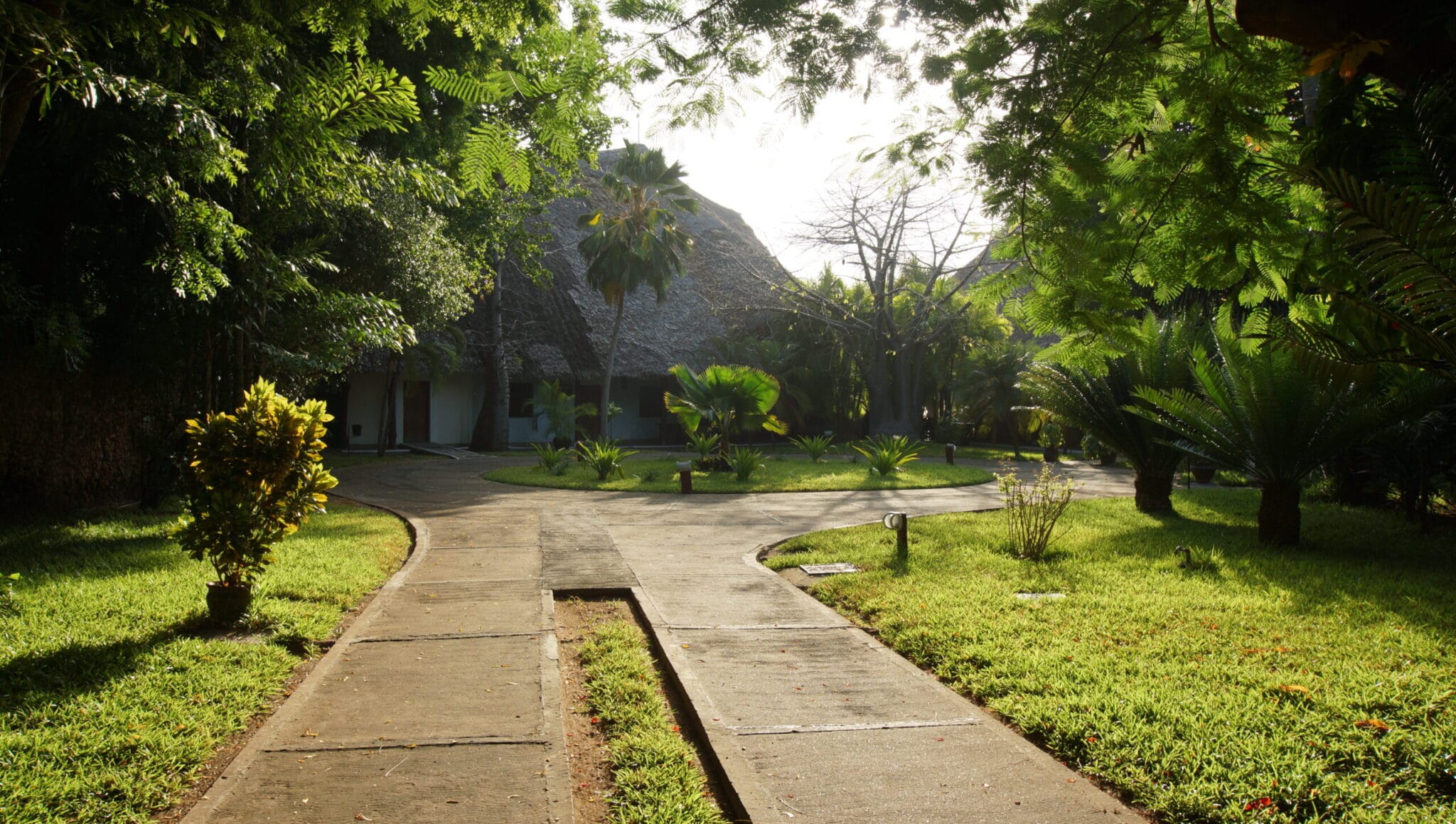 facilities green02 scaled.jpg